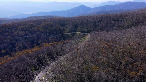 Einsame-Straße-Durch-Die-Wälder-Des-Kosciuszko-Nationalparks-In-New-South-Wales,-Australien