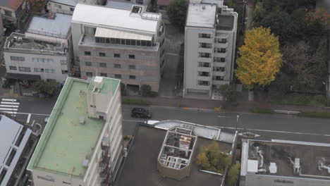 Ebisu-Se-Fundó-Alrededor-De-1928-Como-Una-Comunidad-Desarrollada-Alrededor-De-Las-Instalaciones-De-La-Compañía-Cervecera-Japonesa-Que-Comenzó-A-Elaborar-Cerveza-Yebisu-En-1890.