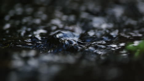 Closeup-of-freshwater-creek-in-selective-focus