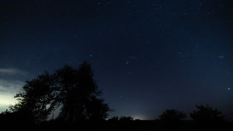 Timelapse-of-a-blue-starry-sky-with-the-a-constellation-visible,-with-trees-in-the-foreground