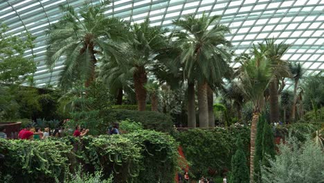 Panning-view-of-tourists-visiting-the-landmark-attraction,-world-largest-glass-greenhouse-Flower-Dome-conservatory-with-seasonal-festival-decoration-during-Chinese-New-Year-at-Gardens-by-the-bay