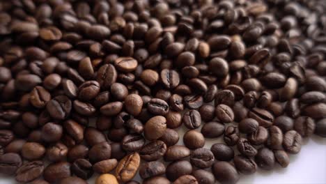 Close-up-of-seeds-of-coffee-12