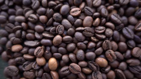 Close-up-of-seeds-of-coffee-10