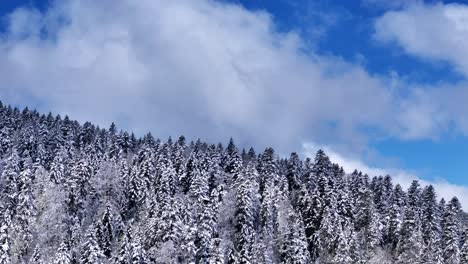Drone-orbiting-view-above-snow-covered-mountain-trees-during-springtime-with-blue-sky-and-big-clouds