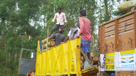 Indische-Waldarbeiter-Laden-Holzstämme-Auf-Einen-LKW-In-Waldgebieten-Im-Süden-Indiens