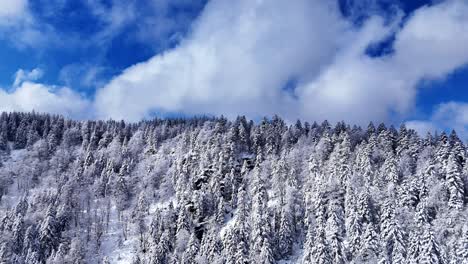 Vista-De-Drones-Alcanzando-La-Cresta-De-La-Montaña-Sobre-árboles-Cubiertos-De-Nieve-Durante-La-Primavera-Con-Cielo-Azul-Y-Grandes-Nubes