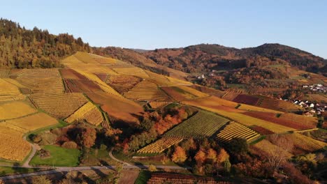 Weinberge-Leuchten-In-Bunten-Herbstfarben