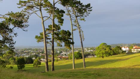 Cornwall-Park-Iluminado-Por-El-Sol-Por-El-Cálido-Atardecer,-Noche-Nublada-En-Auckland