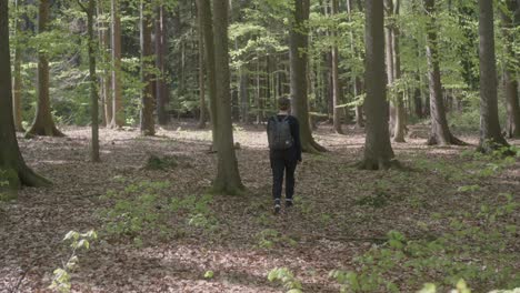 Junges-Mädchen-Mit-Rucksack-Geht-Bei-Frühlingswetter-Im-Wald-Spazieren