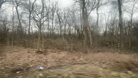 Looking-out-a-window-of-a-forest-preserve-while-in-a-car-behind-a-window