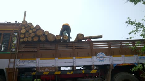 Indische-Waldarbeiter-Tragen-Holzstämme-Auf-Einen-LKW-In-Waldgebieten-Im-Süden-Indiens