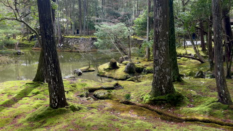 Camine-Cerca-Del-Antiguo-Arroyo-En-El-Templo-Saihōji,-Kioto,-Japón