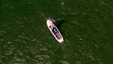Top-Down-Aerial-View-of-Paddle-Boarder-on-Green-Lake