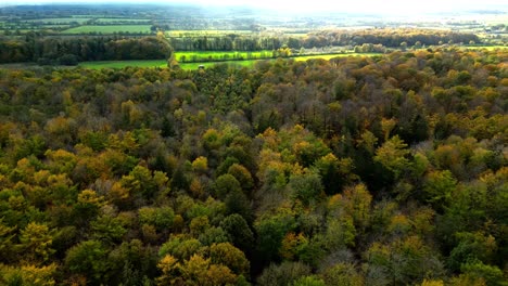 Vogelperspektive-Des-Norddeutschen-Waldes