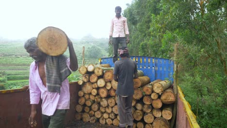 Trabajadores-Forestales-Indios-Transportando-Troncos-De-Madera-En-Un-Camión-En-Las-Regiones-Boscosas-Del-Sur-De-La-India