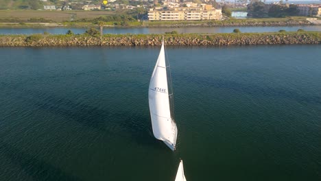 Luxury-Sailboats-On-Water-At-Marina-del-Rey-In-Los-Angeles,-California