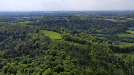 Luftaufnahme-über-Dem-Ashford-Hangers-Naturschutzgebiet,-Sonniger-Tag,-Großbritannien,-4k