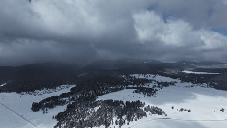 Wald,-Schnee,-Stadt,-Baum,-In-Der-Türkei