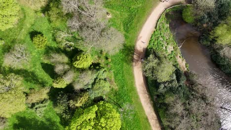 Aerial-Top-down-view-colourful-trees-Virgina-waters-Surrey-UK