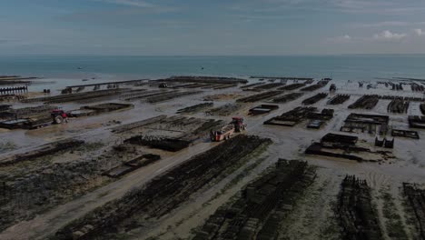 Aerial-4K-Drone-footage-of-a-large-oyster-farm,-Terrain-de-culture-d‘huîtres,-on-the-beach-of-Cancele,-Brittany,-France