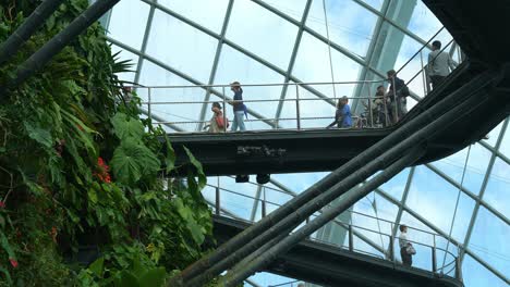 People-walking-on-cloud-forest-aerial-walkway,-the-greenhouse-conservator-with-glass-window-looking-out-at-beautiful-blue-sky,-Gardens-by-the-bay,-the-popular-attraction-of-Singapore