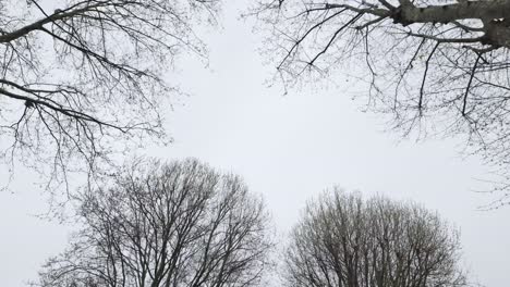 POV-Mit-Blick-Auf-Kahle-Äste-Vor-Bewölktem-Himmel