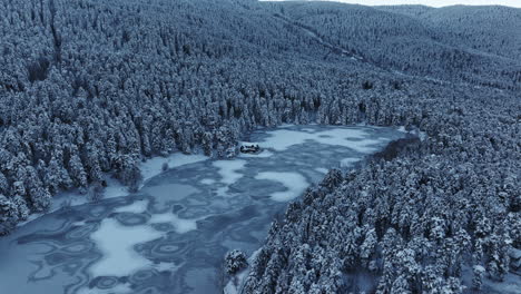 Bosque,-árbol,-Nieve,-Casa,-En-Turquía