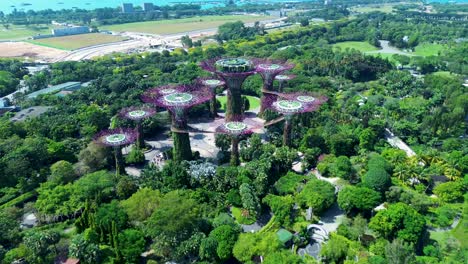 Aerial-drone-landscape-shot-of-Supertree-Grove-Vertical-gardens-art-design-lighting-with-walkway-forest-park-in-Marina-Bay-Singapore-city-Asia-travel-tourism
