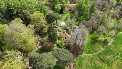 Luftaufnahme-Von-Oben-Aus-Der-Vogelperspektive-Einer-Drohne,-Bunte-Bäume,-Virginia-Waters,-Großbritannien