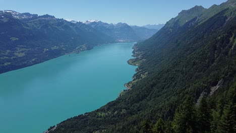 Brienzersee-in-Switzerland-from-above