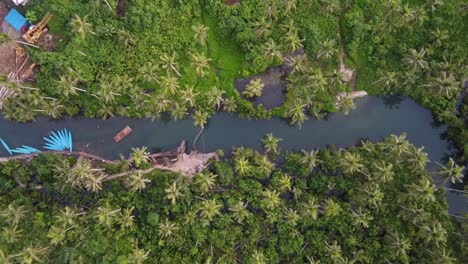 Popular-Palm-Tree-Swing-on-Maasin-River-in-Siargao,-Drone-Top-Down