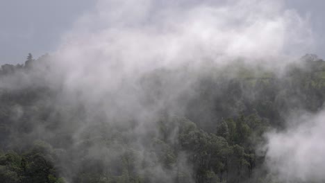 Steam-rising-from-a-natural-hot-volcanic-spring-in-the-Azores,-closeup