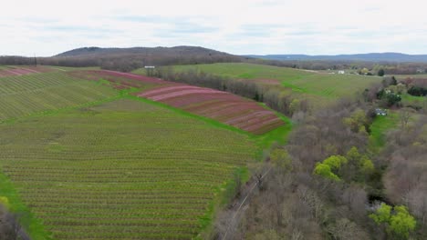 A-Farm-in-Connecticut-during-spring-time-with-the-colors-starting-to-change