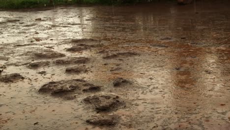 Rain-on-muddy-soil-in-Africa