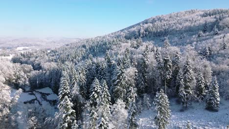 Bosque-En-Invierno-En-Suiza-Desde-Arriba