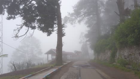 Foggy-tropical-countryside-road-at-the-mountain-top-with-green-and-natural-forest-and-trees