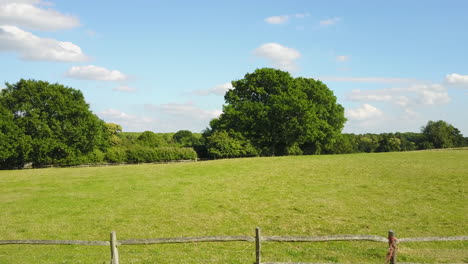 Drohne-Landet-Bei-Sonnenuntergang-In-Der-Nähe-Von-Grünem-Feld-Und-Großem-Baum