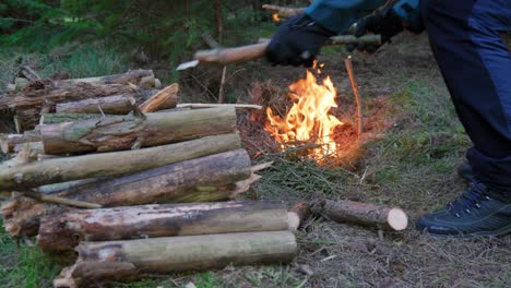 Man-using-small-wooden-logs-for-burning-in-Norfolk-forest-during-evening