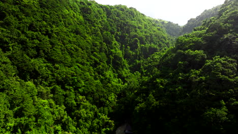 Selva-Indonesia,-Ecosistemas-Vibrantes-Y-Biológicamente-Diversos,-Antena.