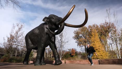 Mamut-Lanudo-Tallado-En-Roca-En-Comparación-Con-El-Tamaño-De-Una-Persona-Adulta