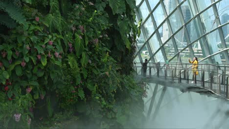 Tourists-walking-on-the-aerial-walkway-of-the-cloud-forest-greenhouse-conservatory-at-Gardens-by-the-bay-in-Singapore,-misty-water-spray-for-temperature-control-and-create-a-magical-environment