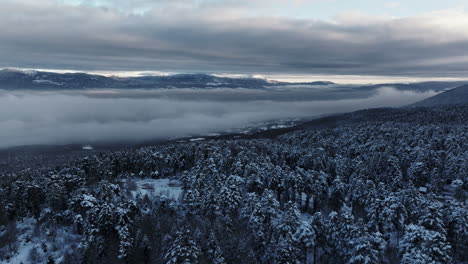 Mountain,-Snow,-Forest,-Town,-in-turkey