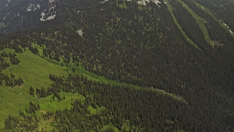 Mt.-Revelstoke,-BC,-Kanada,-Luftaufnahme-V4,-Vogelperspektive,-Drohnenüberflug-über-Bewaldeten-Berg,-Schwenk-Nach-Oben-Zeigt-Malerische-Landschaft-Mit-Almwiesen-Und-Atemberaubenden-Gipfeln-–-Aufgenommen-Mit-Mavic-3-Pro-Cine-–-Juli-2023