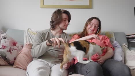 Adorable-cat-seeking-attention-from-owners,-young-happy-couple-in-love