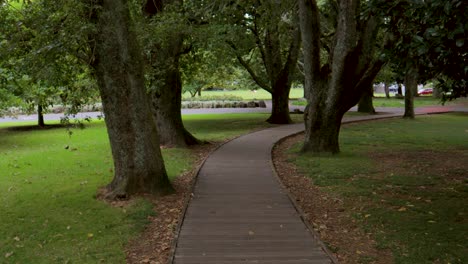 Camine-Entre-Robles-En-Vista-De-Madera,-Verde-Parque-De-Cornualles,-área-Recreativa-En-Auckland