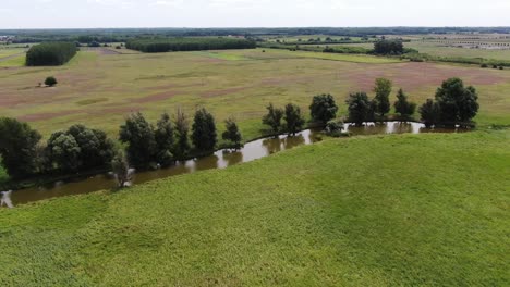 Trees-On-The-Bank-Of-River-With-Green-Meadow-In-Daytime