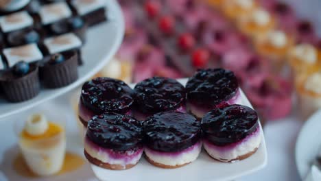 Close-up-pull-out-of-blueberry-dessert-on-plate-at-big-pastry-buffet