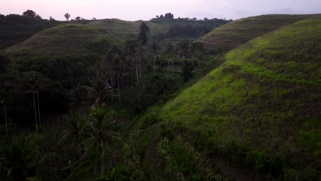 Drone-Flying-Through-Teletubbies-Hill-With-Palm-Trees-At-Sunset