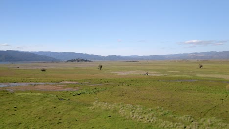 Green-Field-Landscape-Near-Lake-Henshaw-In-San-Diego,-California