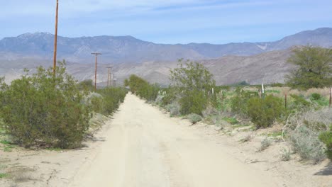 A-wide-shot-of-a-Sand-covered-road-surrounded-by-Rocky-Mountains,-Lush-green-Succulents,-and-old-powerlines-in-the-Anza-Borrego-Desert